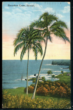 1926 Hamakua Coast Cocoanut Trees Big Island Hawaii Vintage Postcard M1452a picture