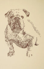 English Bulldog - Rainbow Bridge Personalized Kline dog art lithograph. #188 picture