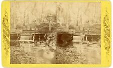 FLORIDA SV - Jacksonville - Orange Park - Tutula Spring - 1880s picture