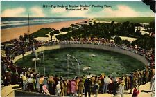 Vintage Postcard- M1. MARINELAND, FL. UnPost 1910 picture