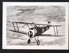 1917 WWI Sopwith Camel Aircraft Biplane Fighter Royal Naval Air Service Photo picture