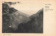 Vintage Postcard Scenic View The Gorge Grand Canyon Platte Clove New York picture