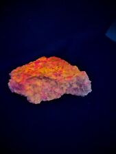 Clino-suenoite With Crystals 1 Pound 13 Ounces  picture