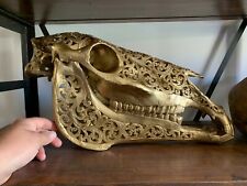 Oddities/Cabinet Of Curiosities / Skull Of Horse Sculpe Golden picture