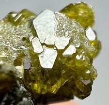 Well Terminated Vesuvianite Crystals Bunch With Andradite Garnet. 13 Carats picture
