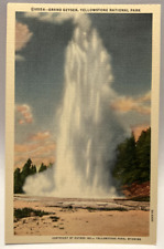 Grand Geyser, Yellowstone National Park, Vintage Unposted Postcard picture