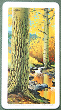 BALSAM POPLAR TREE  Detail Features   Vintage 1968 Illustrated Flora Card  DD11 picture