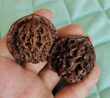 Chinese Many year Color Changed Wen Wan Walnut picture