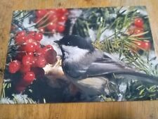 Postcard Black Capped Chickadee picture