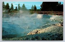 Fountain Paint Pot Yellowstone Park Wyoming Vintage Unposted Postcard picture