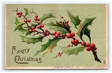 Postcard Merry Christmas Holly and Berries Posted 1907 Charlotte S Mitchell picture