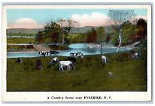 Kyserike New York Postcard Country Scene River Animals Trees Creek 1926 Vintage picture