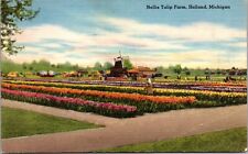 Postcard Nellis Tulip Farm Holland Michigan USA North America picture