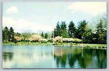 Old Greenwich CT Connecticut, Binney Park, Scenic Pond, Vintage Postcard picture