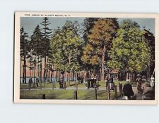 Postcard Pine Grove At Olcott Beach, New York picture