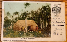 HI Hawaii Hawaiian Islands, Native Homestead, Island Curio Store, PMC, PM 1906 picture