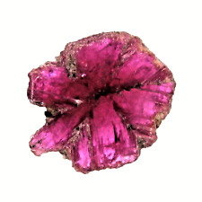 6.70 mm 100% Natural Ruby Trapiche ( Untreated ) T7825 picture