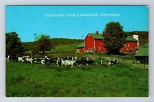 Lancaster WI-Wisconsin, Scenic Greetings, Herd of Cows Souvenir Vintage Postcard picture