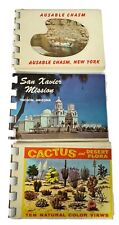 3 Vintage Arizona Cactus New York Ausable Chasm Souvenir Photo Book picture