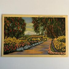 Vintage Flower Bordered Walk in California Linen Postcard 672 Colortone Antique picture