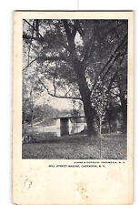 Cazenovia New York NY Postcard 1907 Mill Street Bridge picture