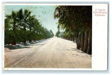 1909 A Typical Palm Drive In Los Angeles CA Sardines Advertising Postcard picture
