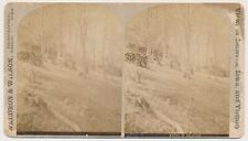 IOWA SV - Bellevue Rocks - Waldron & Wilson 1880s picture