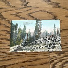 Vintage RPPC Postcard: Logging Scene in El Dorado Co., California 1906 picture