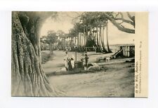 India, Chennai postcard, people at the well, tree lined street picture