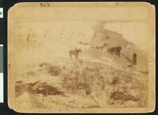 Canyon At Wounded Knee South Dakota January 1 1891 California - Old Photo picture