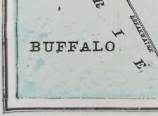 Vintage 1900 BUFFALO NEW YORK Map 11
