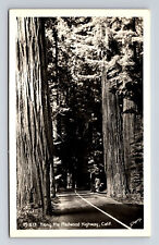 RPPC Along the Giant Redwood Highway CA Sawyers Photo Studio Postcard picture
