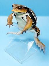Kitan Club Big Size  Dark Brown Japanese common toad figure US seller new picture