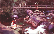 Postcard Great Smoky Mountains Tennessee Visitors Walking the Foot Bridge picture