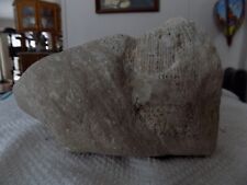 FAVOSITE Honeycomb Fossil Attached To Fossil Soup Stone 6 Lb Cheboygan County MI picture