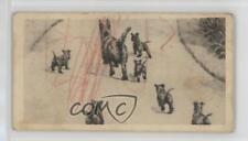 1926 Wills (New Zealand) Etchings of Dogs Tobacco A Lesson in Deportment #1 0h1 picture