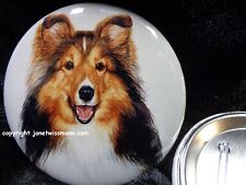 LARGE BUTTON PIN / REFRIGERATOR MAGNET Sheltie Shetland Sheepdog Dog Prize Gift picture