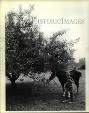 1979 Press Photo Trees - cvb24658 picture