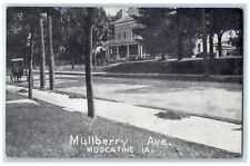 c1910's Mulberry Avenue Horse Carriage Museum Muscatine Iowa IA Postcard picture
