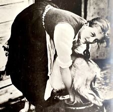 Norway Farm Woman Milking Goat Photograph Folk Life Agriculture c1900-1920s E9 picture