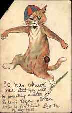 Cat Fantasy Cricket or Baseball CLIPPED CORNER Charles Voisey c1902 Postcard picture