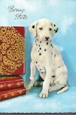 VINTAGE LITHO 1967-70 DALMATIAN DOG/PUPPY SITTING/POSING FRANCE OLD POSTCARD picture