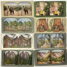 LOT: 8 STEREOVIEW CARDS California Mt Shasta Lowe Redwoods Los Angeles Yosemite picture