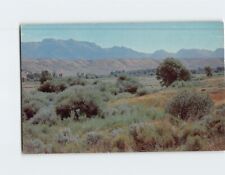 Postcard Summer View of Ruby Mountains South of Elko Nevada USA picture