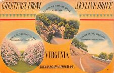 Greetings from SKYLINE DRIVE, VA Virginia Multiview Linen Postcard Shenandoah picture