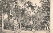 St Augustine FL Florida, Villa Flora House & Gardens, Vintage Postcard picture