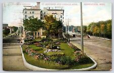 Minneapolis MN~Hennepin & Lindale Avenue Apartments~Flower Garden Median~1907 picture