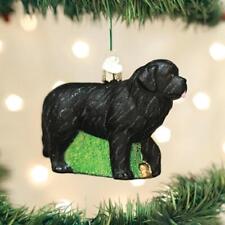 Old World Christmas NEWFOUNDLAND Blown Glass Dog Breed Ornament picture