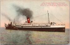 1910s Catalina Island California Postcard 