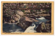 Great Smoky Mountains Park Tennessee c1940's Footbridge, Little Pigeon River picture